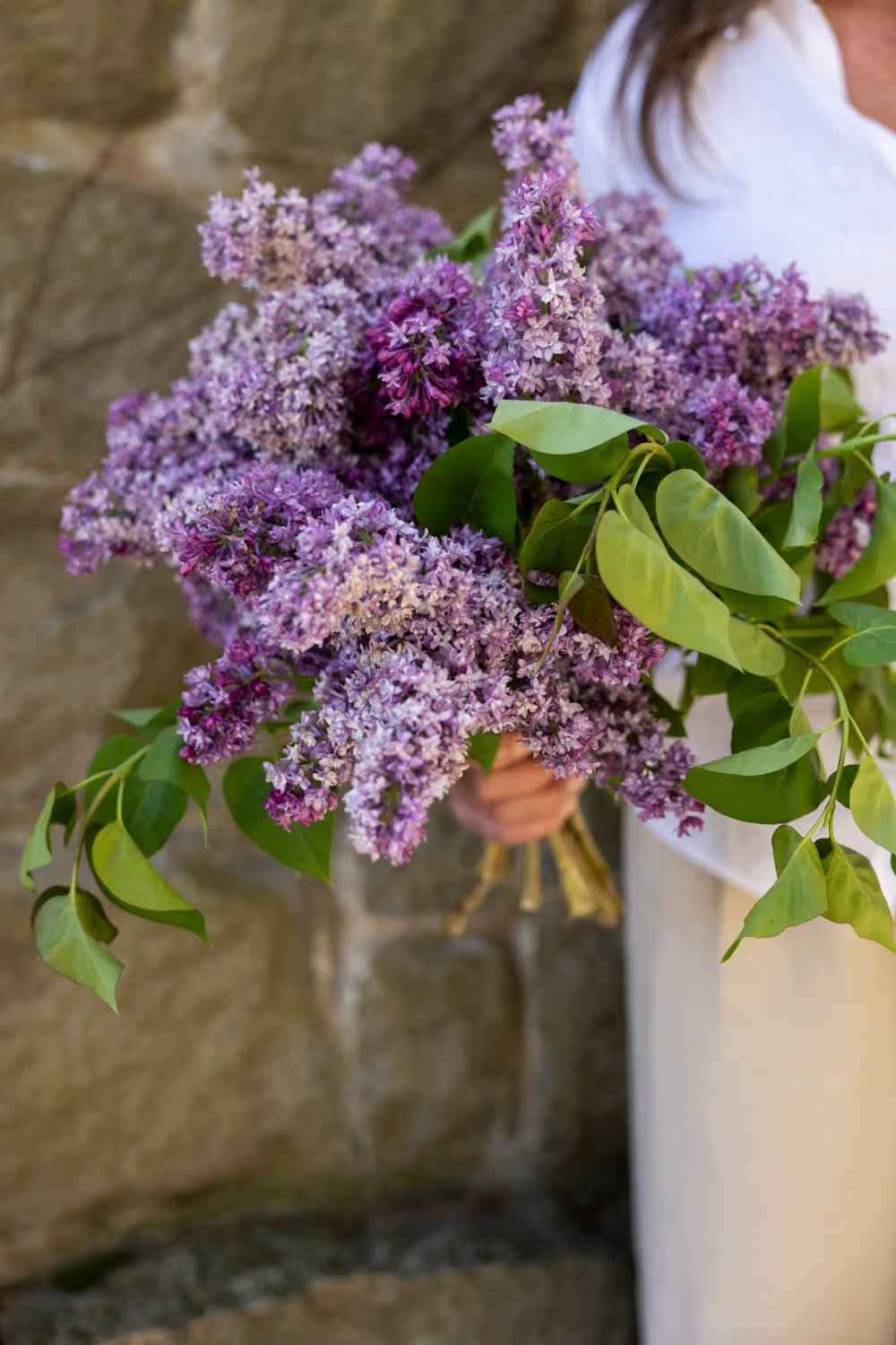 Person holding a bouquet of purple lilacs against a stone wall