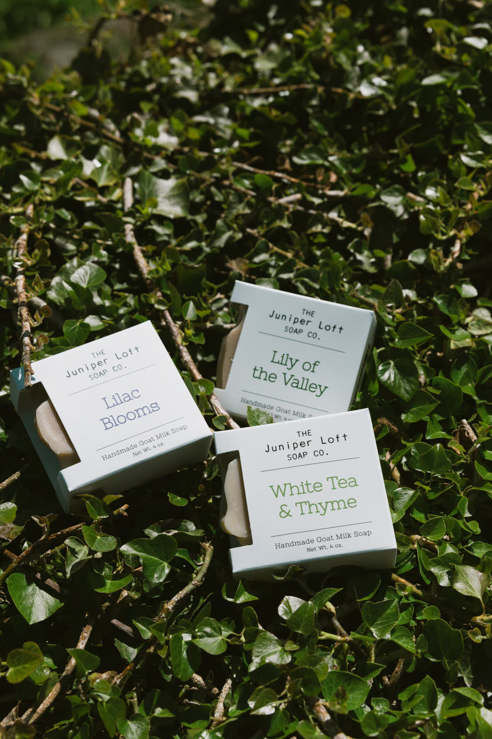 Three Juniper Loft goat milk soap bars in their boxes on a leafy background
