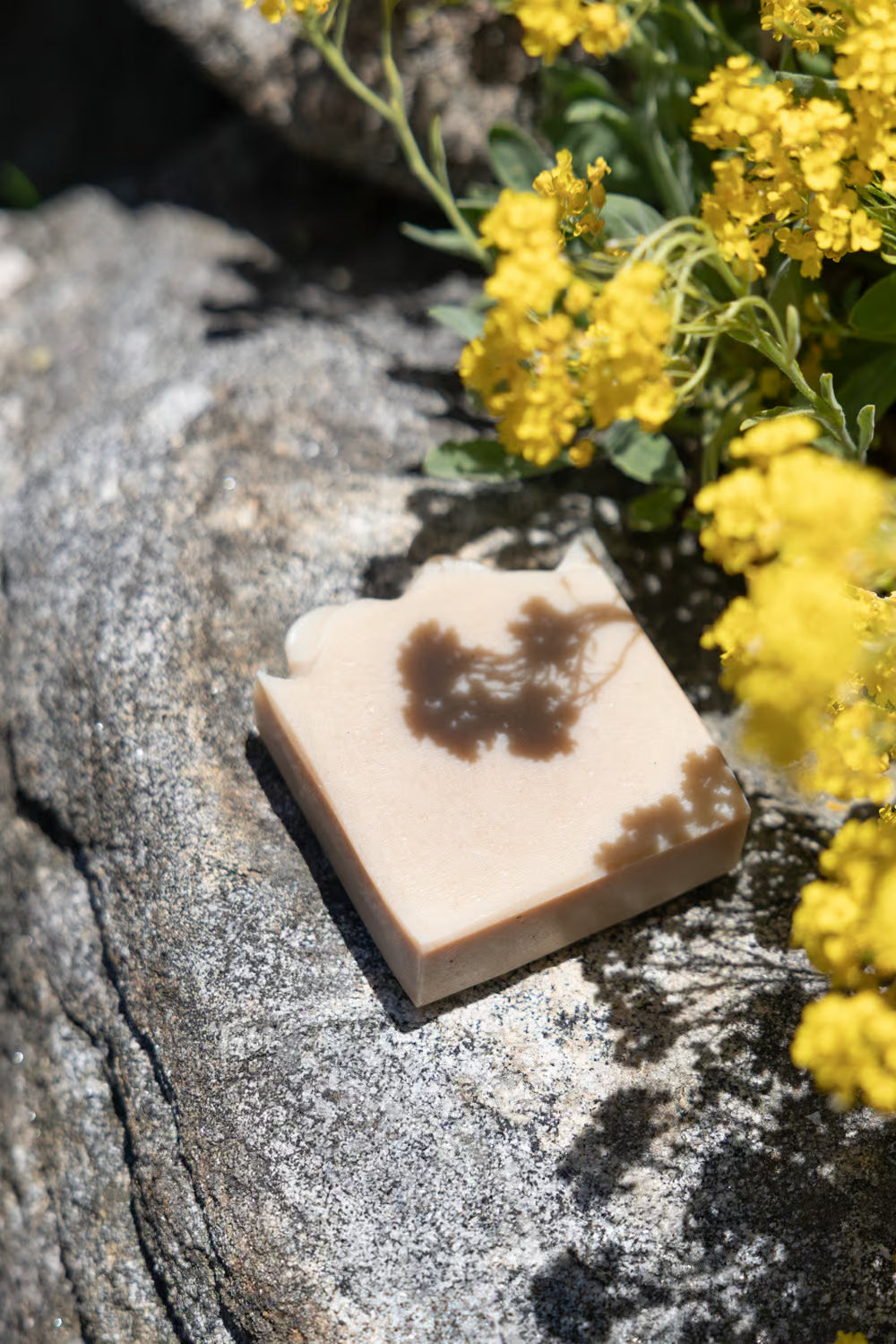 Bar of Juniper Loft goat milk soap on a rock surrounded by yellow flowers